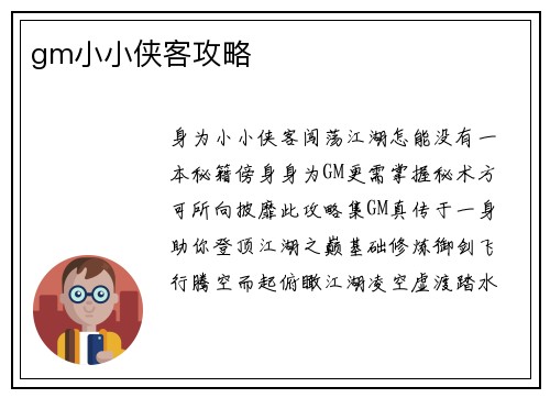 gm小小侠客攻略