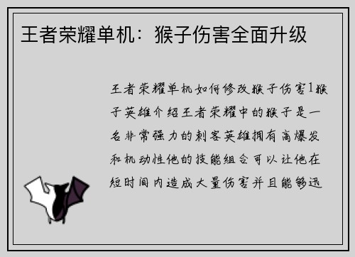王者荣耀单机：猴子伤害全面升级