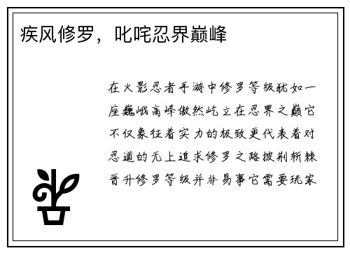 疾风修罗，叱咤忍界巅峰